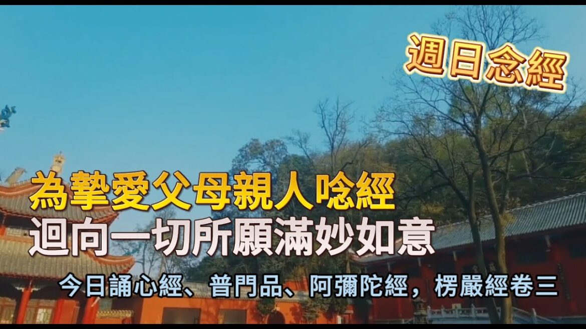 週末念經:為摯愛父母親人唸經,迴向一切所願滿妙如意。今日誦心經、普門品、阿彌陀經,楞嚴經卷三。#20240616唸經