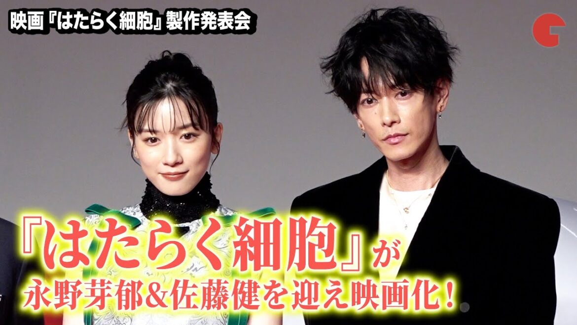 『はたらく細胞』がついに映画化!永野芽郁&佐藤健がW主演『はたらく細胞』製作発表会