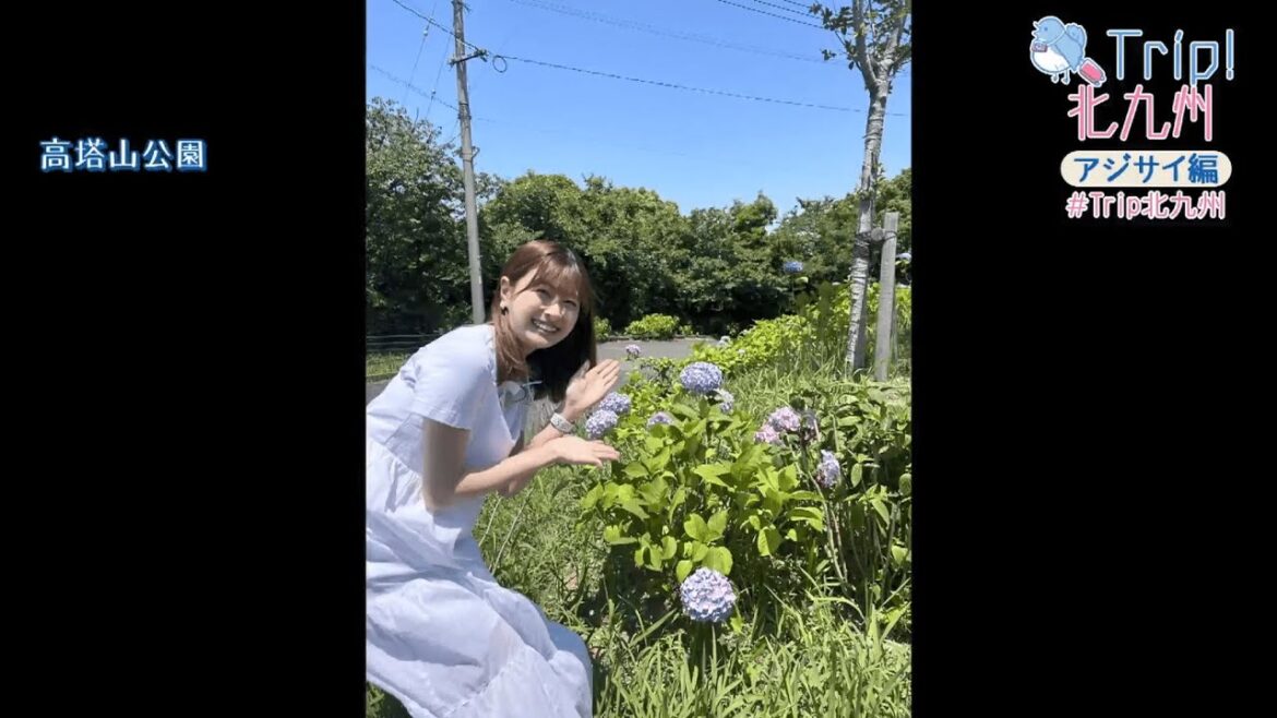 「Trip!北九州」2024年度第3回:アジサイ編(2024年6月12日放送)