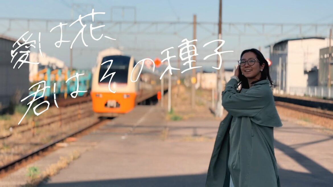 愛は花、君はその種子/都はるみ (Covered by 羽山みずき)