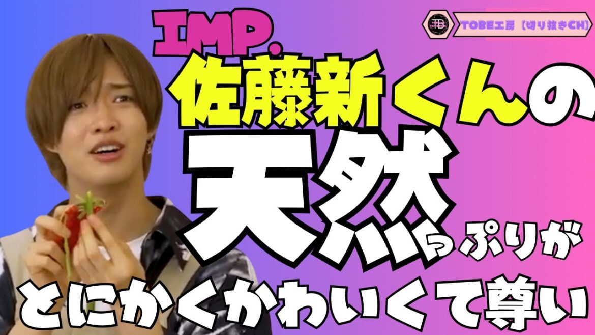 【IMP.】佐藤新くんの天然っぷりがとにかくかわいくて尊いのよ… 【TOBE切り抜き】