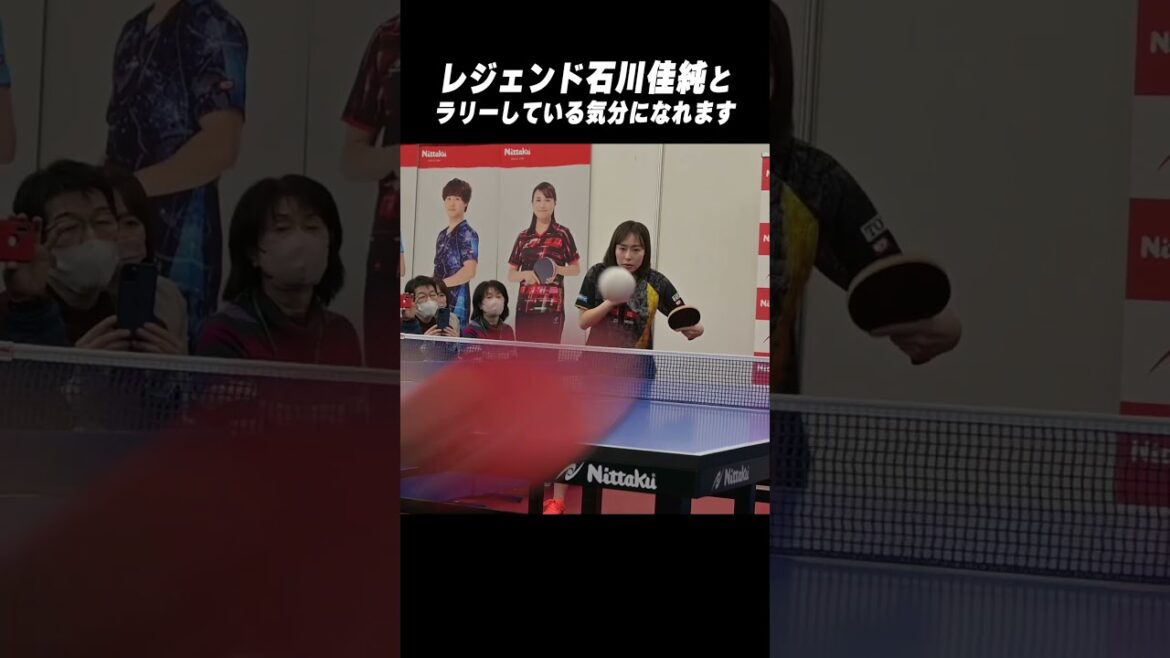 #石川佳純 さんと打ってる気分に🏓 #shorts