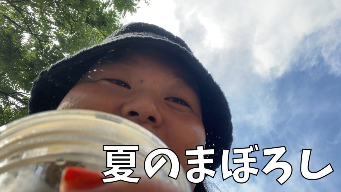 【あの夏田辺に出会った】田辺いないいないばあ【子供のころに戻る動画】