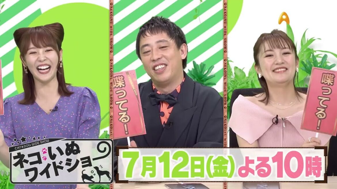 ゲスト:高橋みなみ【ネコいぬワイドショー】