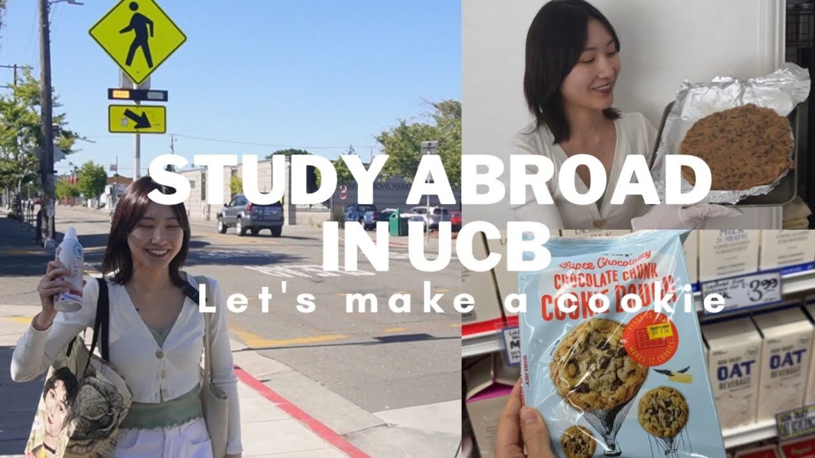 #01 Study abrod in UC Berkeley 🇺🇸 l Let’s make a big cookie | Trader Joe’s🍪 | カリフォルニア大学バークレー校での留学生活