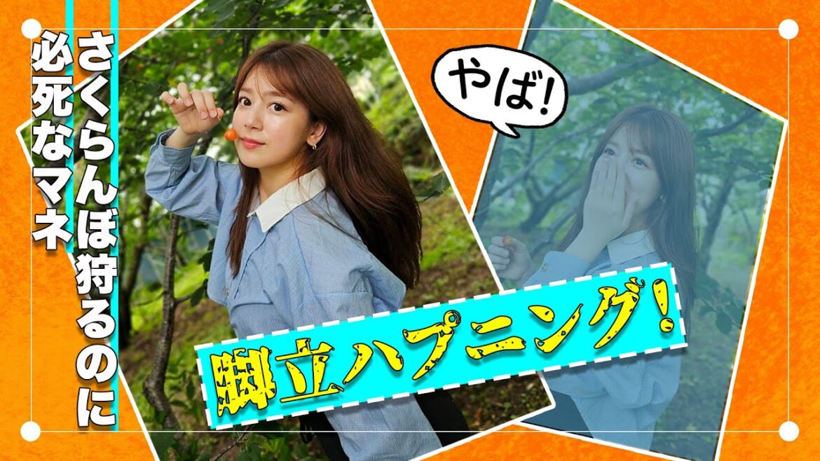 【さくらんぼ狩り】脚立ハプニング勃発!?