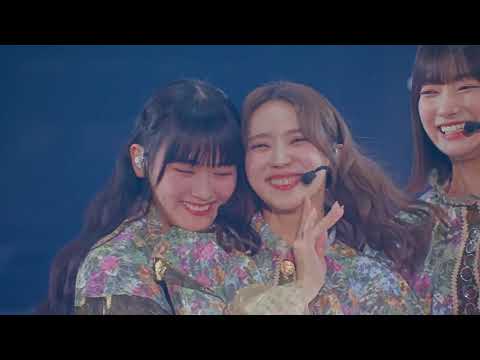 櫻坂46 CM 小林由依 卒業コンサート LIVE Blu-ray & DVD 8月28日発売!