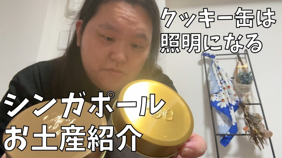【シンガポール土産紹介】シンガポール旅行で買った物紹介するわよ!【美味しい物からアクシデントまで】