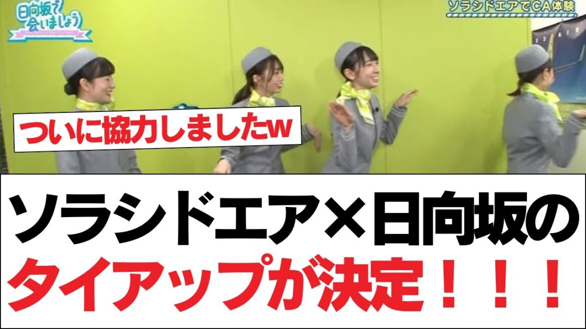 【超朗報】ソラシドエア×日向坂のタイアップが決定!!!【日向坂で会いましょう】#日向坂46 #日向坂で会いましょう #乃木坂46 #櫻坂46