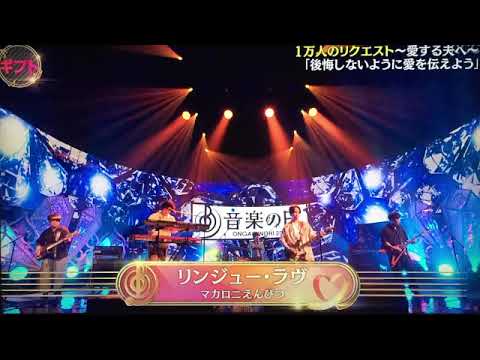 【音楽の日2023】マカロニえんぴつ「リンジュー・ラヴ」2023年7月15日 FULL LIVE