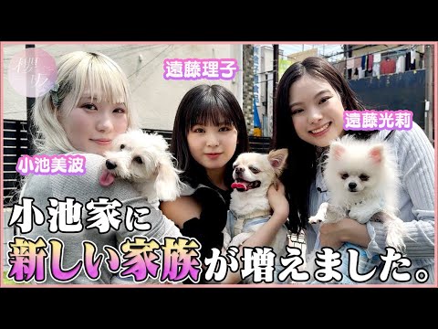 【家族が増えました】小池美波3匹の母になる!目指せ運動会!