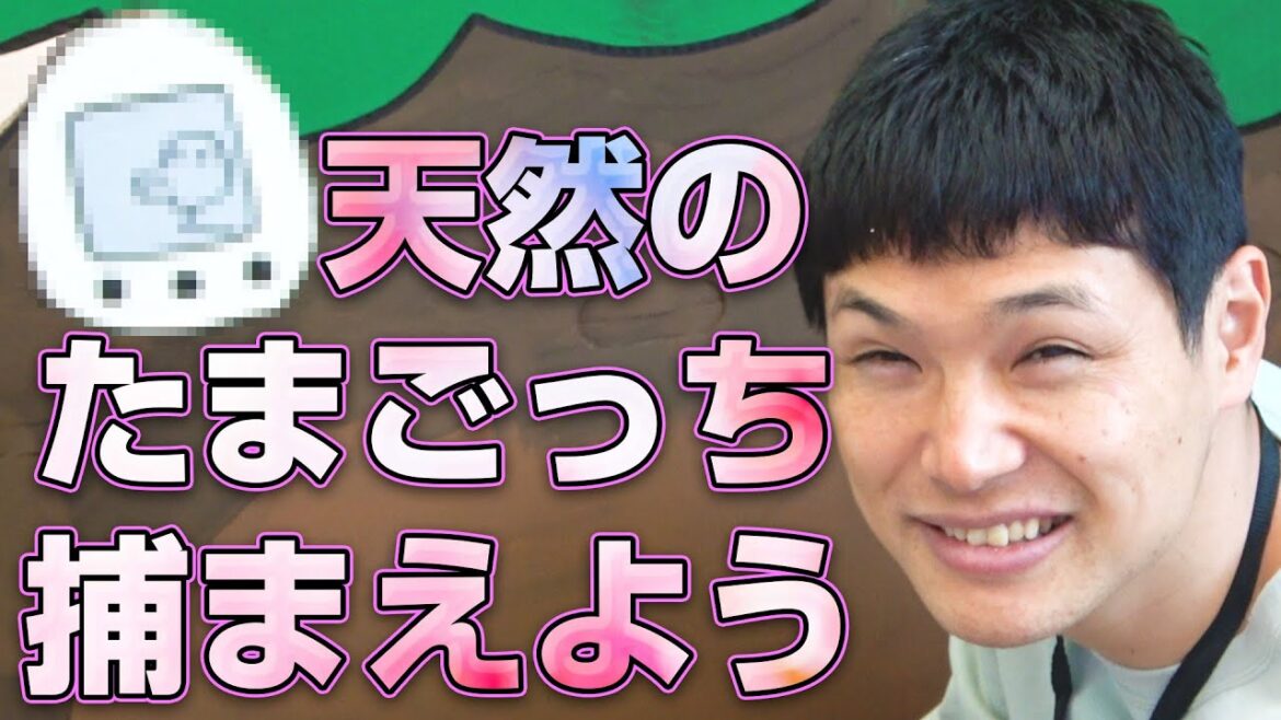 【たまごっち】天然のたまごっちを捕まえよう!《もう中学生》