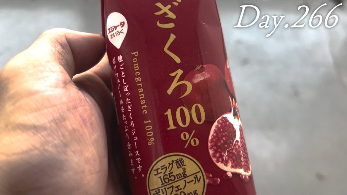【豆乳と混ぜるとうまいんだって】34日後に富士山の頂上で歌うシンガーソングライター
