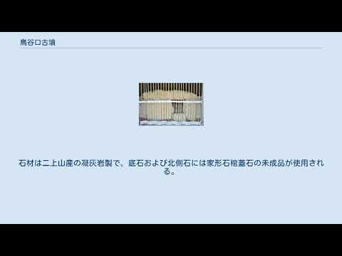 鳥谷口古墳