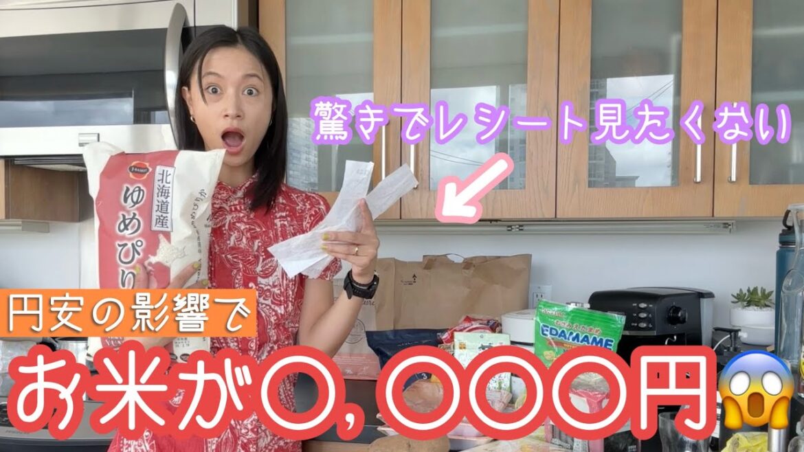 【親子で留学中】ハワイにある日系スーパーで買い出し!🥑【比較】