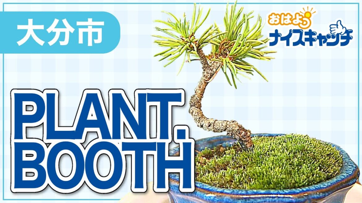 【大分市】PLANT.BOOTH(2022年7月27日放送分)