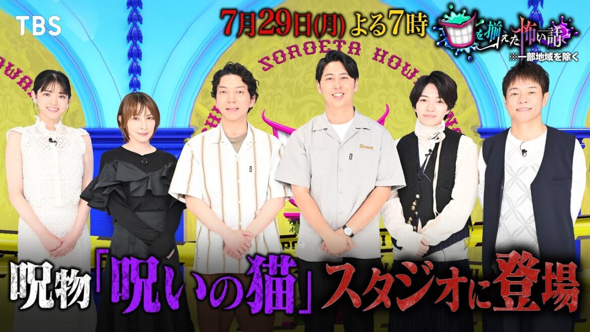 嶋佐&なにわ男子 西畑が呪物「呪いの猫」に触ってみたら…『口を揃えた怖い話』7/29(月)【TBS】