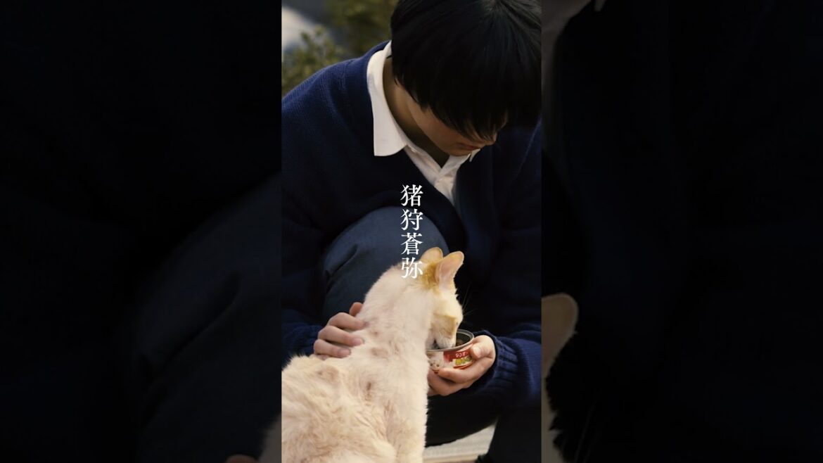 キャラクター紹介映像(新妻編)| 映画『#先生の白い嘘』7月5日 (金) 公開 #猪狩蒼弥 #映画 #おすすめ #fyp #shorts