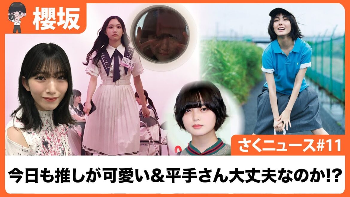 【櫻坂46】さくニュース 2024年7月28日放送 #11