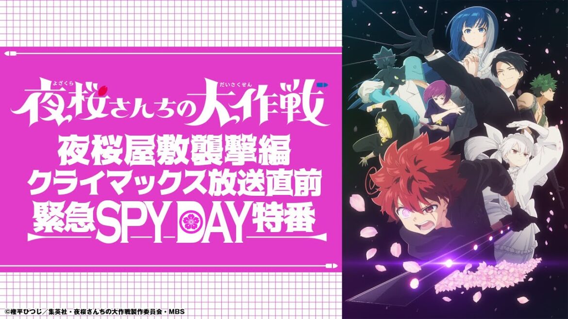 夜桜屋敷襲撃編クライマックス 放送直前緊急SPYDAY特番|『夜桜さんちの大作戦』