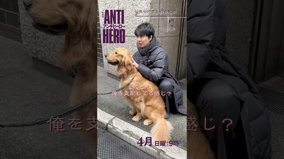 #長谷川博己 ✖️ ゴールデンレトリーバー🐕 撮影合間の様子😁『#アンチヒーロー』