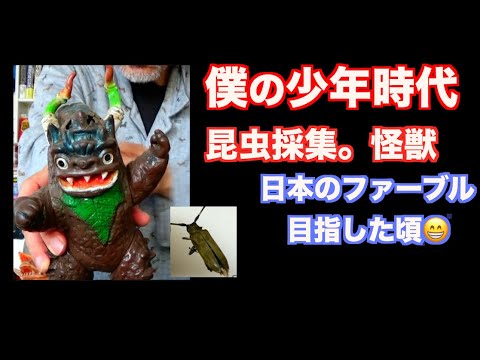 (X)僕の少年時代ー昆虫採集。怪獣。日本のファーブルを目指した頃