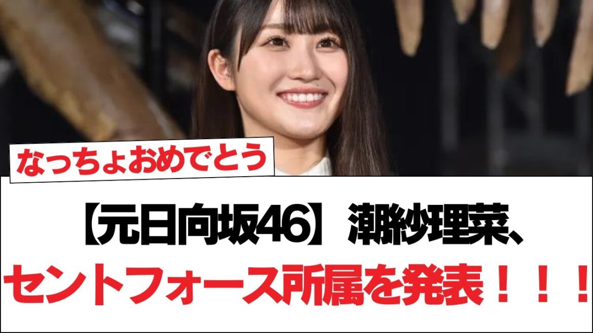 【元日向坂46】潮紗理菜、セントフォース所属を発表!!!【日向坂で会いましょう】#日向坂46 #日向坂で会いましょう #乃木坂46 #櫻坂46