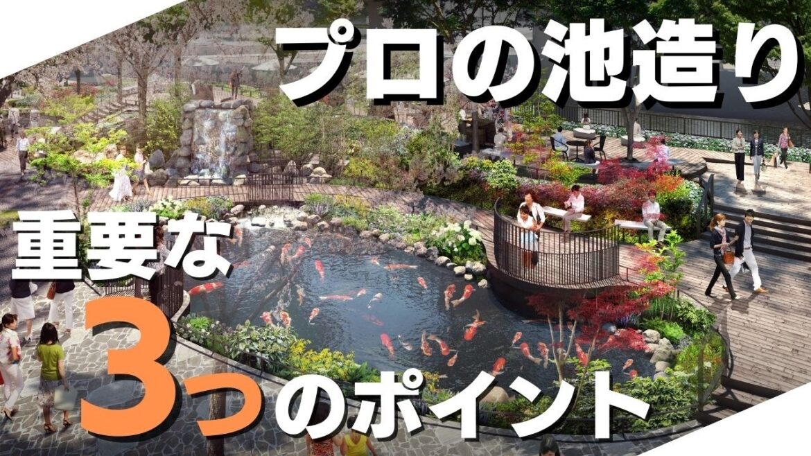 【錦鯉】プロが教える!錦鯉を綺麗に飼育するために必要な池の3つのポイント👉