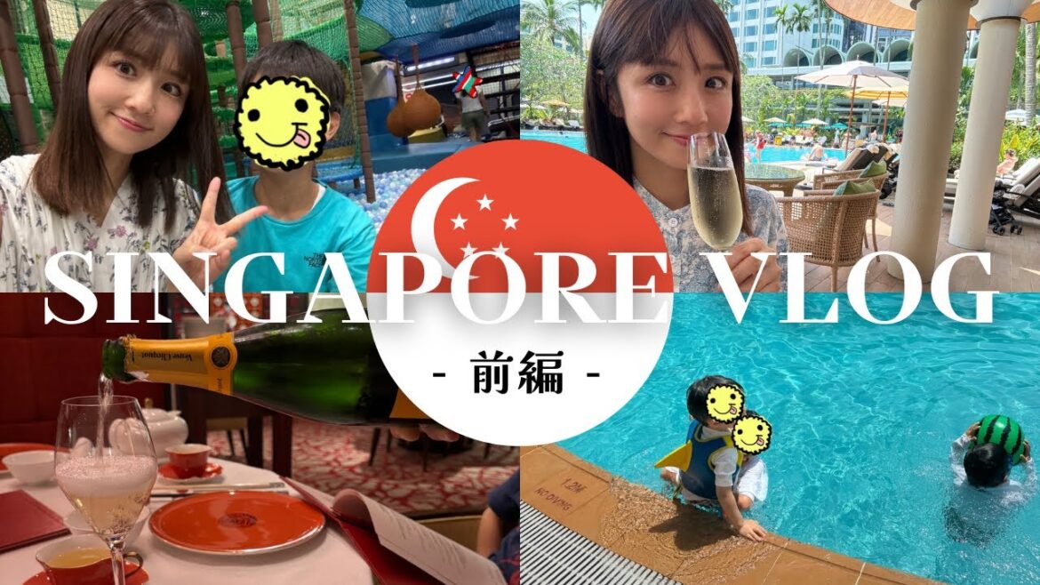 【前編】シンガポール旅行/ホテルでのんびり♪遊んで食べて飲む笑