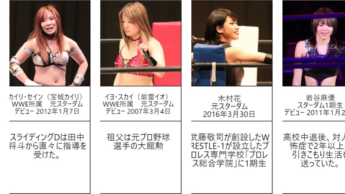 女子プロレス雑学(スターダム、WWE) イヨ・スカイ(紫雷イオ) カイリ・セイン(宝城カイリ)岩谷麻優 安納サオリ 小波 木村花