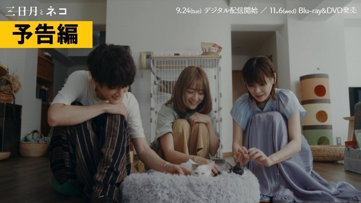 【予告】映画『三日月とネコ』9月24日(火)デジタル先行配信&11月6日(水)Blu-ray&DVD発売!