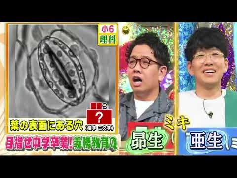 【見逃し配信】くりぃむクイズミラクル9<8月21日/若手/ベテラン/説教/うんちく/雑学/学校クイズ/明治時代のシンデレラ/再放送/無料フル>2024年8月21日FULL LIVE