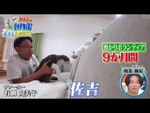 🔴嗚呼みんなの動物園8月24日【佐吉/最終回/保護猫譲渡会/飼い主/見逃し配信/再放送】2024年8月24日 LIVE FULL
