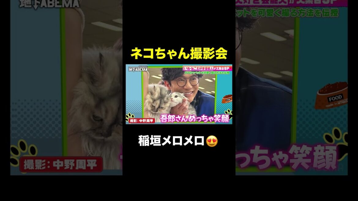 稲垣吾郎 ネコに囲まれ最高の笑顔😍 |#ななにー #稲垣吾郎 #草彅剛 #香取慎吾