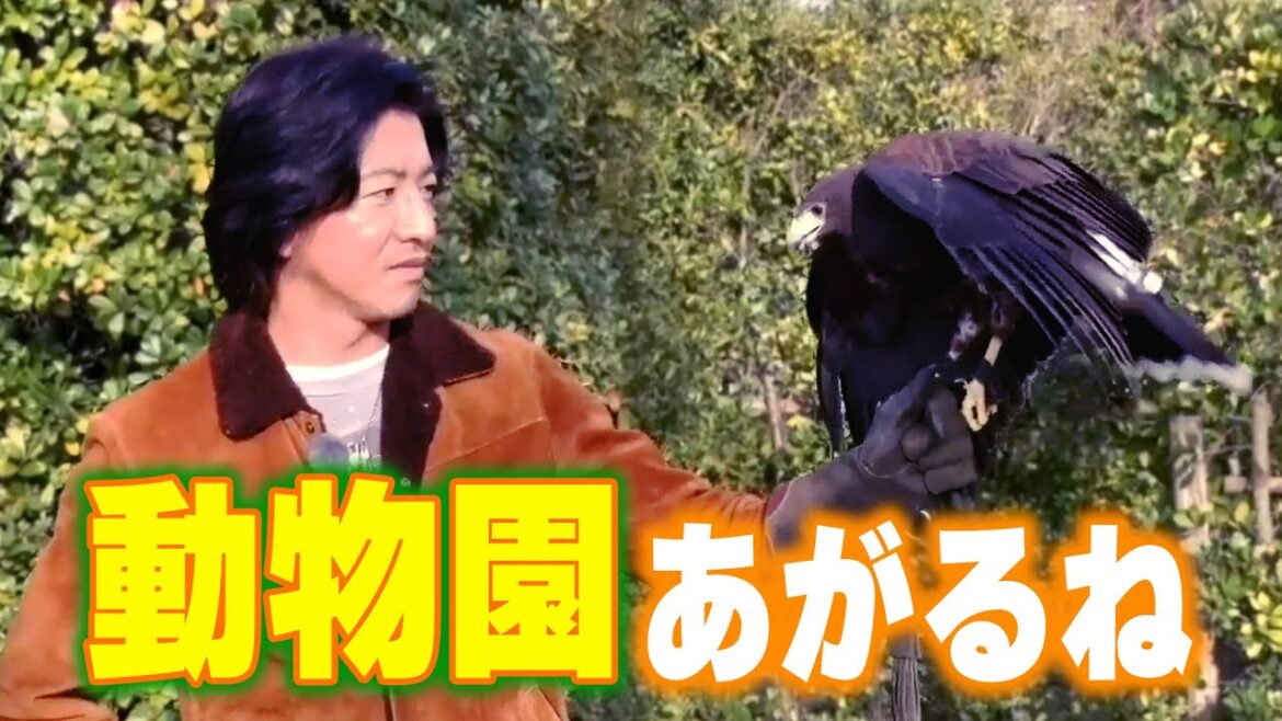 【過去回】木村拓哉「よこはま動物園ズーラシア」でふれあい体験
