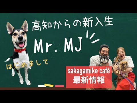 【高知からの新入生】その名はMJ