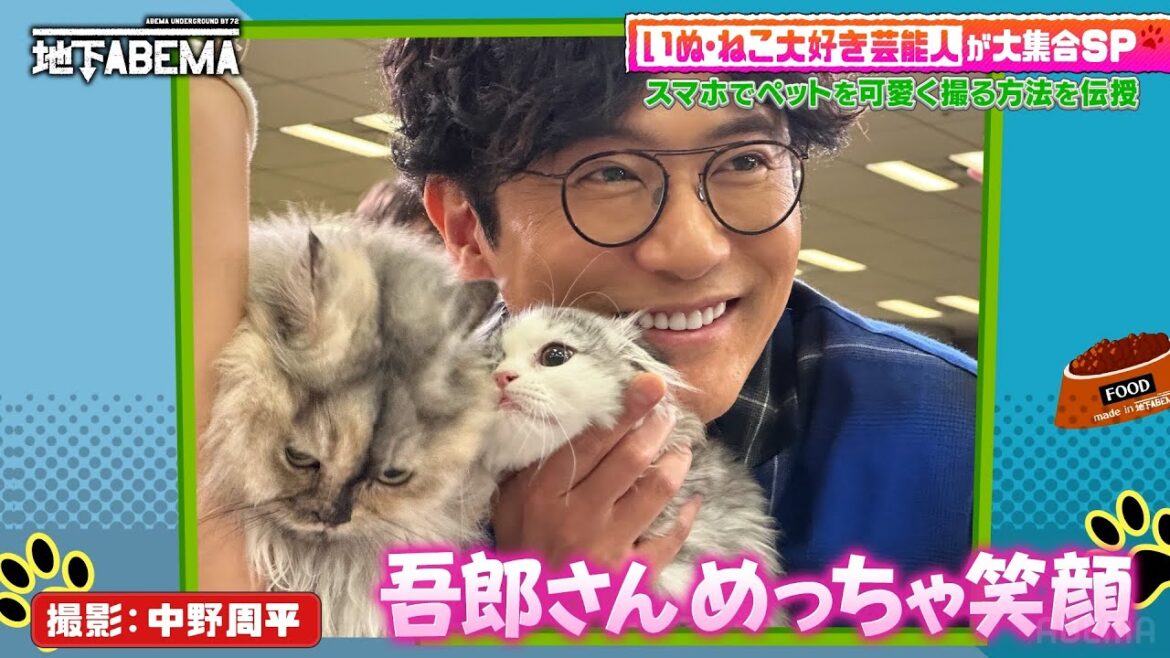 プロが伝授!盛れるペット写真|『ななにー 地下ABEMA』毎週日曜よる8時〜ABEMAで無料放送中 #ななにー #稲垣吾郎 #草彅剛 #香取慎吾
