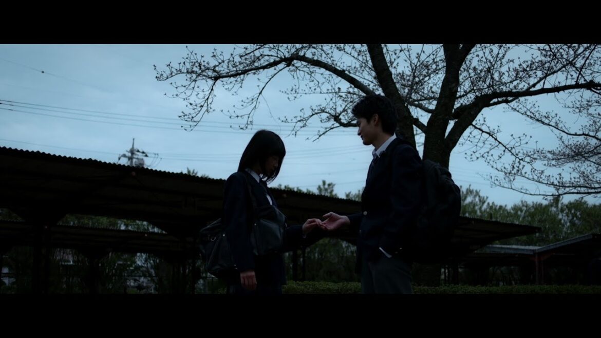 映画『雨とひかり』予告編