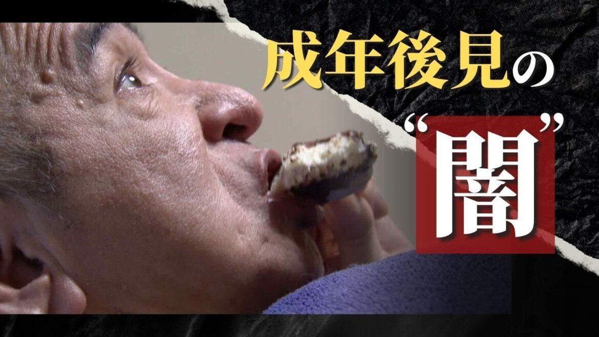 「ケーキは買うな」「温泉行くな」成年後見人が生活の切り詰めを迫る理由→“報酬は貯金に比例”