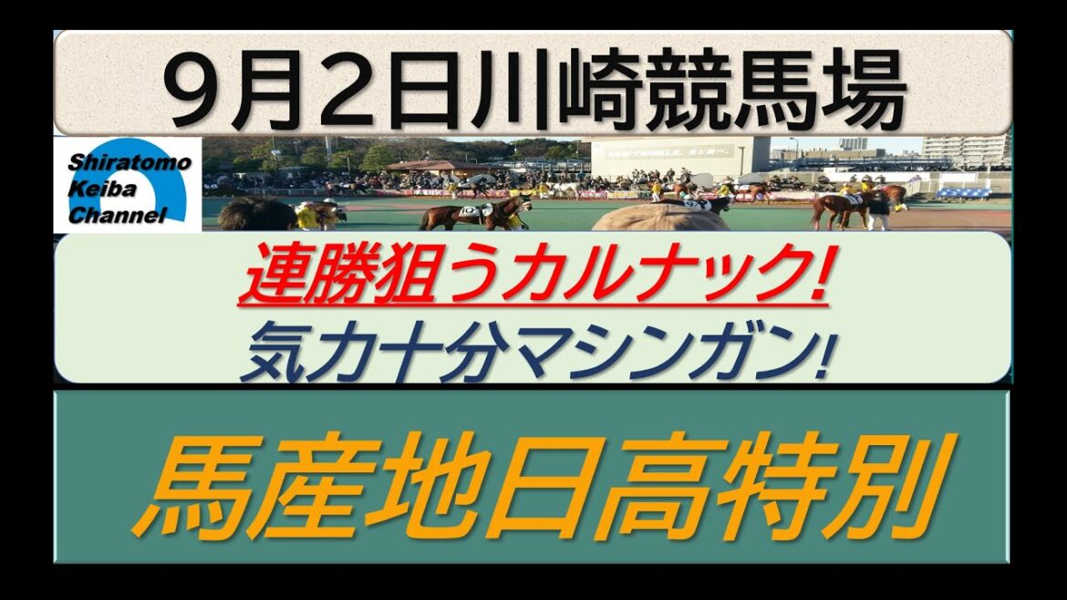 【競馬予想】馬産地日高特別!~2024年9月2日 川崎競馬場 :9-6