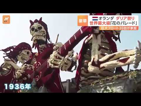 オランダ ア 大級