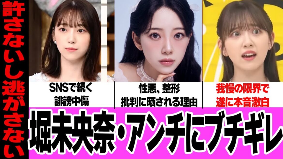 堀未央奈がSNSでの誹謗中傷に本音激白!アイドル時代の悪評、美容アカウントからの整形指摘に驚きを隠せない!法的措置による沈静化、アンチを諭す本音に言葉を失う…【アイドル】