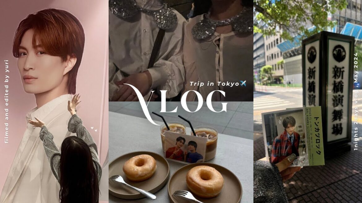 vlog ; 1泊2日東京ひとり旅🗼|トンカツロック🧍🏻🎶|BUG CAFE 🥯🍴|TIRTIR POPUP 🎀|Disney Land🎠🫧