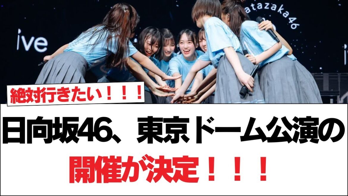 【全国ツアー2024】日向坂46、東京ドーム公演の開催が決定!!!【日向坂で会いましょう】#日向坂46 #日向坂で会いましょう #乃木坂46 #櫻坂46