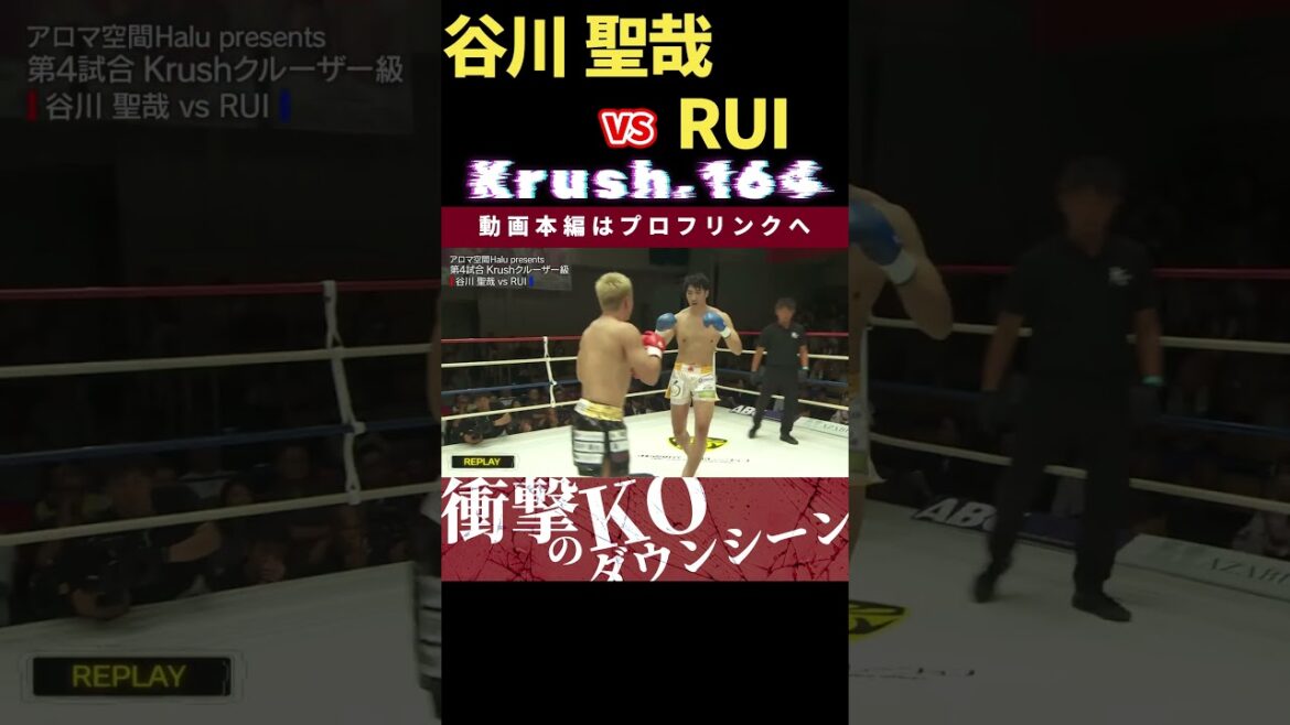バックブローで一撃!?【Krush.164】谷川 聖哉 vs 【進撃のヒザ蹴り】RUI 次回、Krush.165 9.28後楽園大会チケット好評発売中!