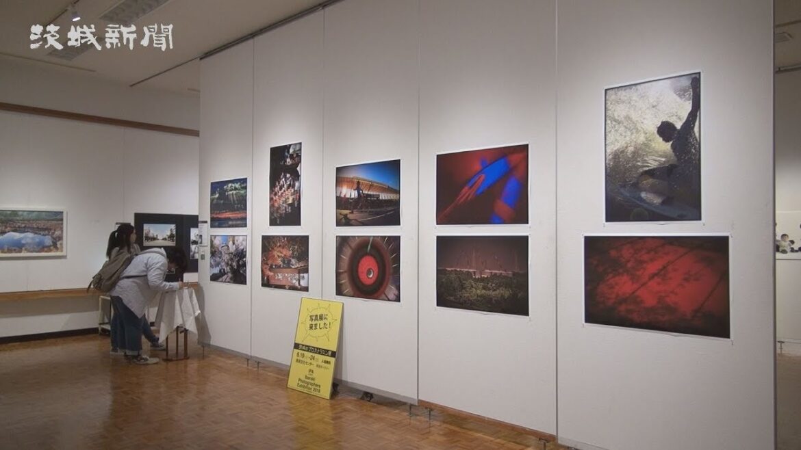 多様な表現が光る「茨城のプロカメラマン展」開幕