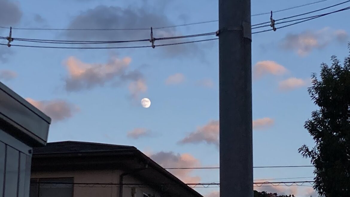 highlight…