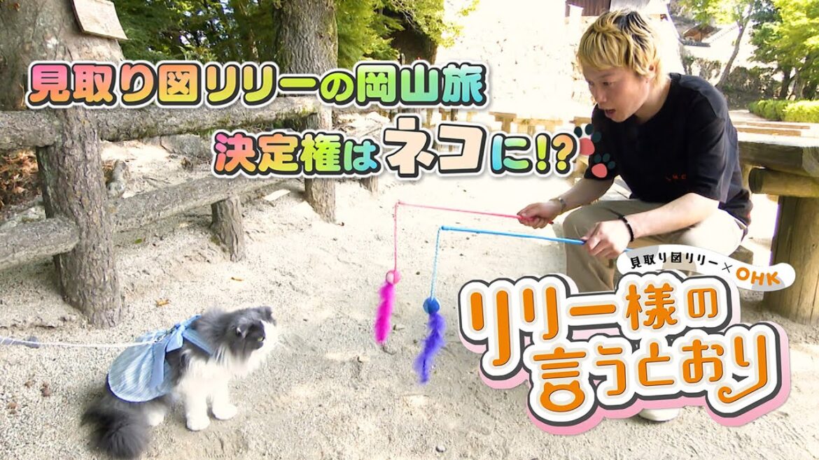 【見取り図リリー×OHK】リリー様の言うとおり