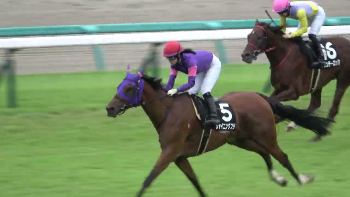 【藤田菜七子】【競馬ハプニング】スタート直後に鐙が外れるも入れ直してレースを続ける 現地映像