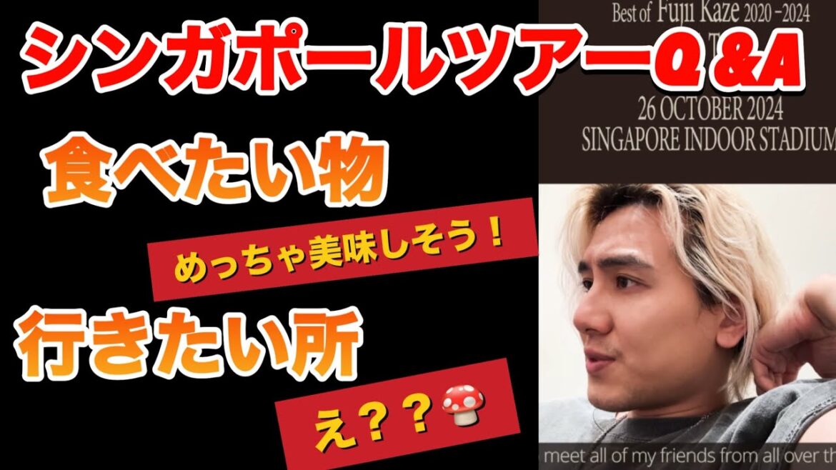 英語を訳してみたよ 藤井風 え!?シンガポールでやりたい事🇸🇬